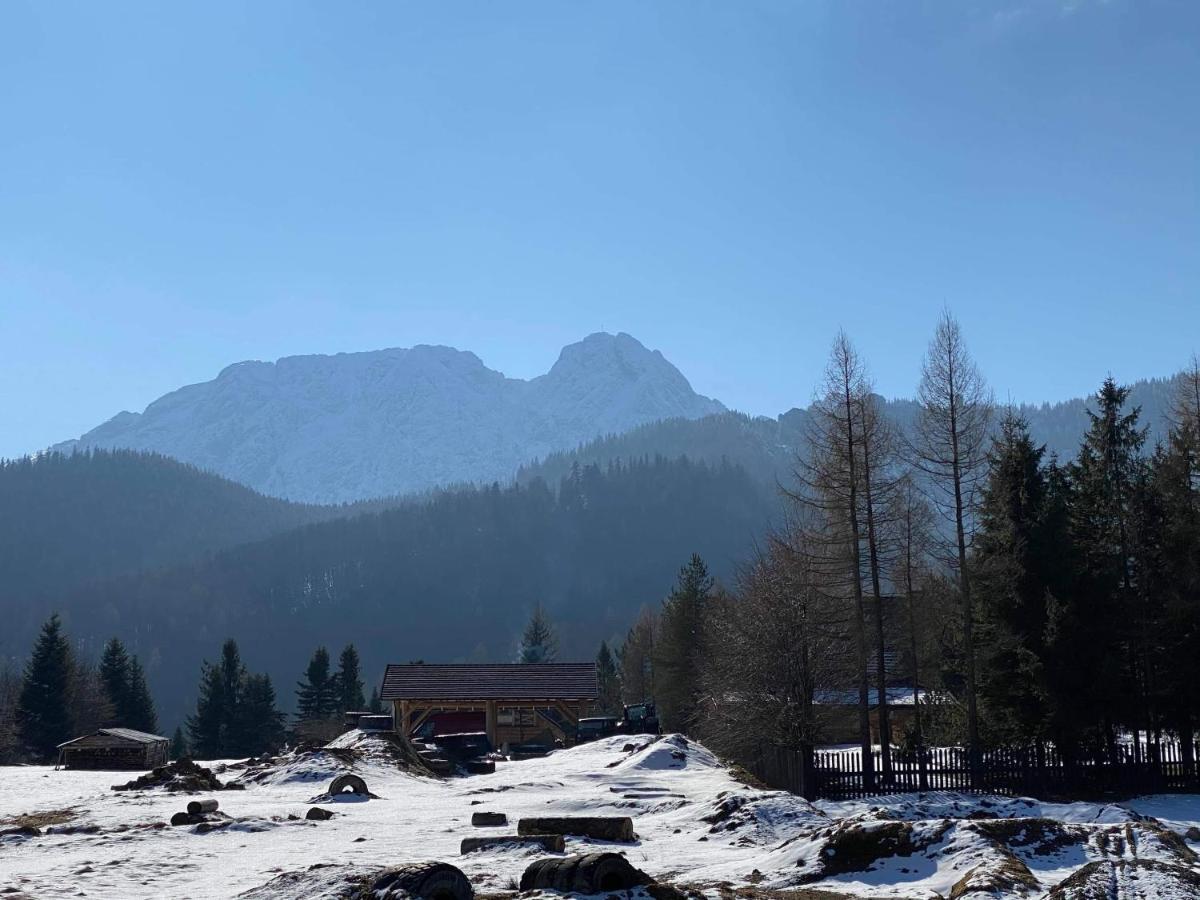 Viva Maria -Sky Moszczak Apartments&Spa Zakopane Exteriör bild